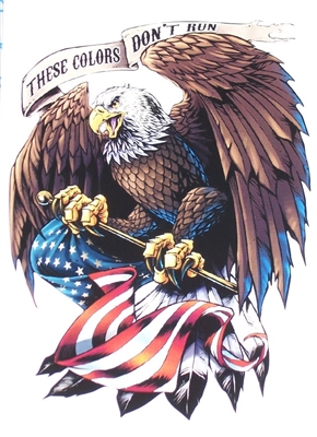 These colors don't run #2 American Flag Eagle Home of free Full color