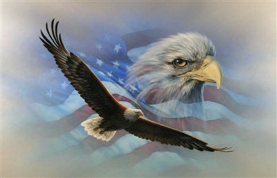 American Flag Soaring Bald Eagle Wall RV motorhome Or Trailer Graphic Decal